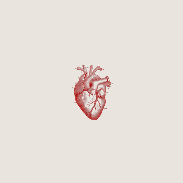 Dentro e non fuori