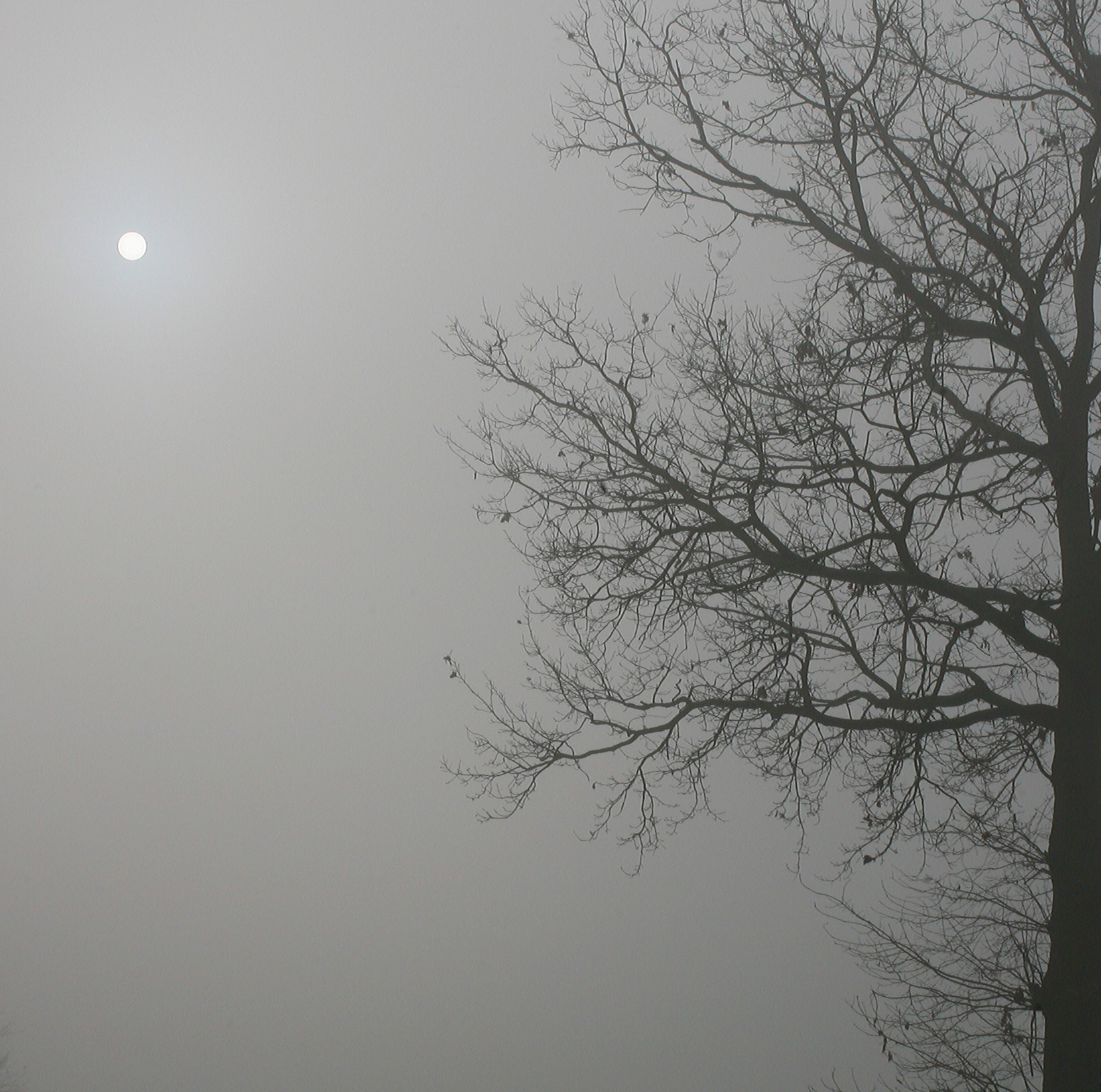 Se accendi la luce…