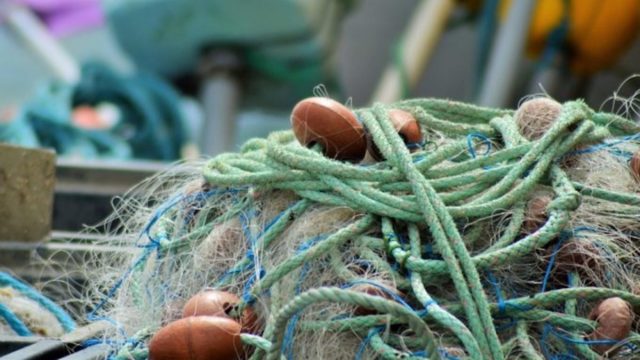 Catturati dalle sue parole, sapremo far tesoro?