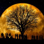Il mago delle comete