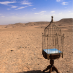 Land artist