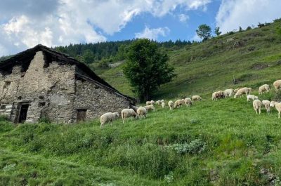 Saremo pieni di gelosia o di Spirito santo?