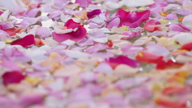 L’anziana bambina dei fiori