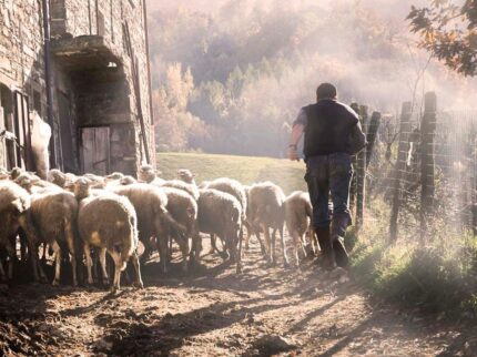 Spingere fuori…un  gesto vitale!