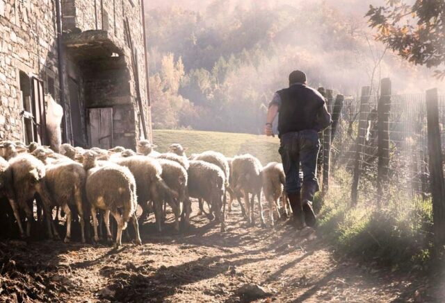 Spingere fuori…un gesto vitale!